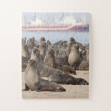 Colônia de Focos de Cabo