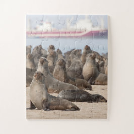 Quebra-cabeça Colônia de Focos de Cabo