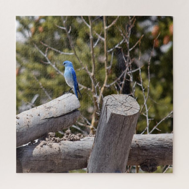 Quebra-cabeça Colorado Mountain Bluebird - 20x20 - 676 pcs (Vertical)