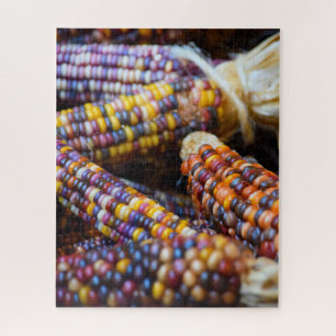 Quebra-cabeça Colores do Rainbow Corn no outono - 16x20 - 520 pc