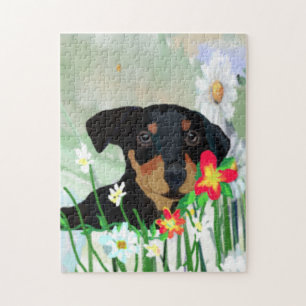 Quebra-cabeça Colorful Daisies e Doberman Pincher Puppy