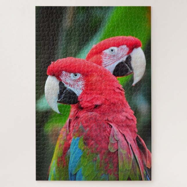Quebra-cabeça Colorful macaw parrots poster (Vertical)