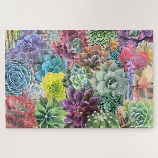 Quebra-cabeça Colorful Succulent Puzzle (Horizontal)