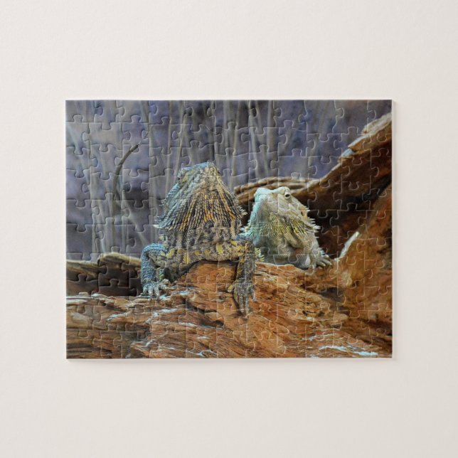 Quebra-cabeça com dois lagartos curiosos (Horizontal)