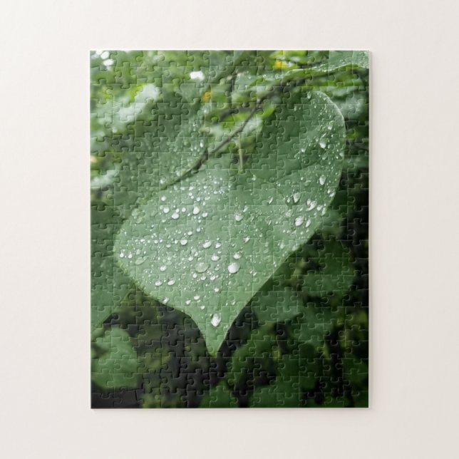 Quebra-cabeça com folha verde e gotas de chuva (Vertical)