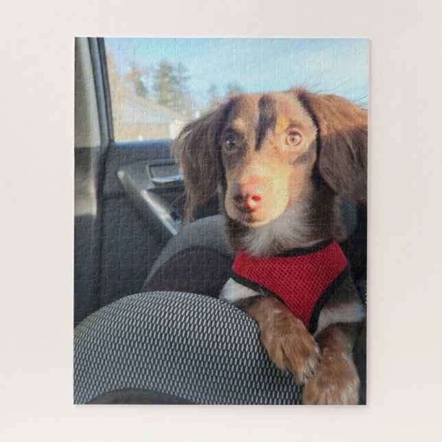 quebra-cabeça com o Kio no cachorrinho (Vertical)