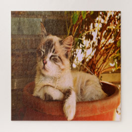 Quebra-cabeça Comfy Sleepy Gatinho