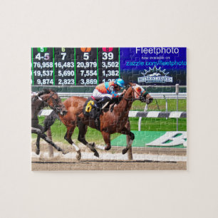 Quebra-cabeça Competência de Belmont Park bonito