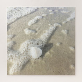 Quebra-cabeça Concha na Praia Nápoles, Flórida