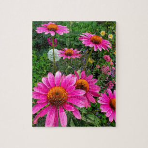 Quebra-cabeça Coneflower
