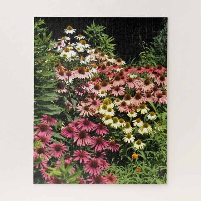 Quebra-cabeça Coneflowers (Vertical)