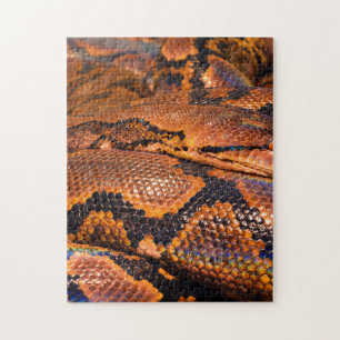 Quebra-cabeça Constrictor de boa