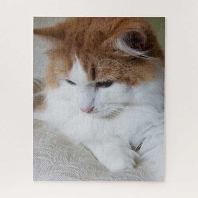 Quebra-cabeça Contemplação do Gatinho (Rico Felino): Foto Cat (Vertical)