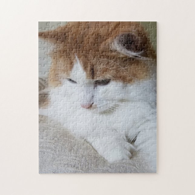 Quebra-cabeça Contemplação do Gatinho (Rico Felino): Foto Cat (Vertical)