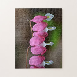 Quebra-cabeça Coração bonito Hemorragia