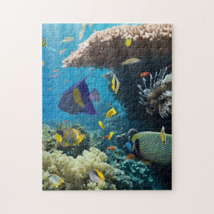 Quebra-cabeça Coral e peixes no Mar Vermelho, Egipto