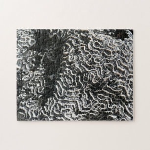 Quebra-cabeça Coral Preto e Branco I Foto Abstrata da Natureza