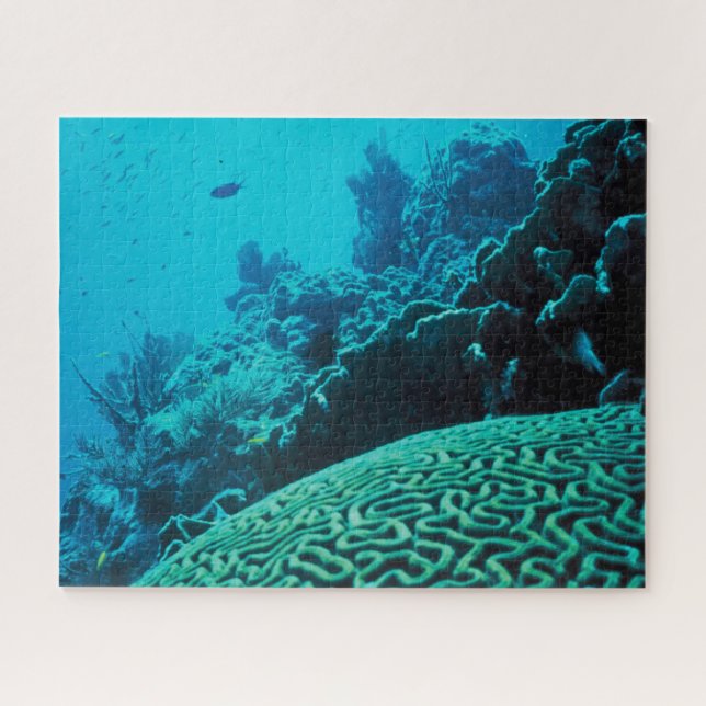 Quebra-cabeça Coral Reef Oasis (Horizontal)