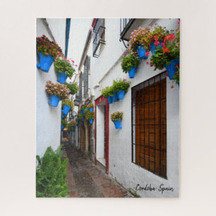 Quebra-cabeça Cordoba Alleyway - A Espanha Real