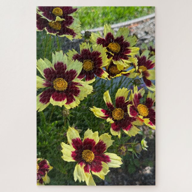 Quebra-cabeça Coreopsis Burgundy e Amarelo, San Mateo (Vertical)