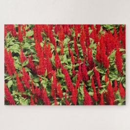 Quebra-cabeça Cores 1