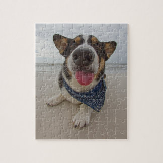 Quebra-cabeça Corgi bonito com língua para fora