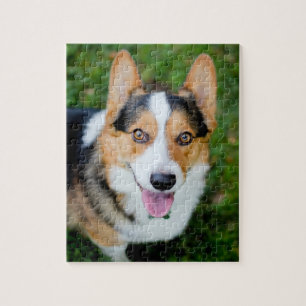 Quebra-cabeça Corgi de Galês do Pembroke