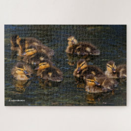 Quebra-cabeça Corks vivos flutuantes: 9 Cute Mallard Ducklings J