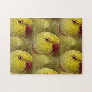 Quebra-cabeça Corpo Amarelo Brilhante Lutino Indiano Ringneck