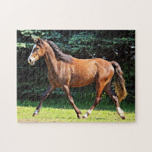Quebra-cabeça Corredor do cavalo de Brown