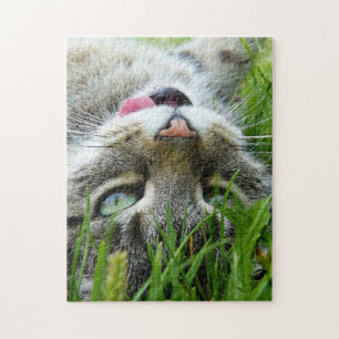 Quebra-cabeça Corte puzzels do gato