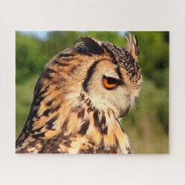 Quebra-cabeça Coruja-Coruja-Pássaros de Peia.