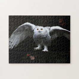 Quebra-cabeça Coruja de Neve com Wings Abertas 11x14 252pc jpcna