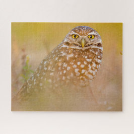 Quebra-cabeça Corujas - Pássaros de presa.