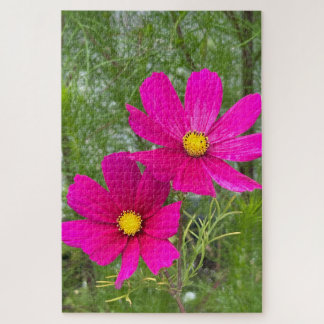 Quebra-cabeça Cosmos Magenta, Cidade de Quebec