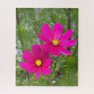 Quebra-cabeça Cosmos Magenta, Cidade de Quebec