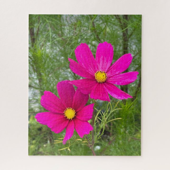 Quebra-cabeça Cosmos Magenta, Cidade de Quebec (Vertical)