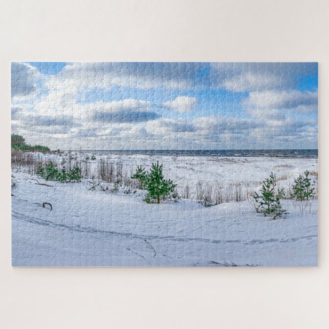 Quebra-cabeça Costa do mar Báltico coberta de neve no inverno (Horizontal)