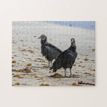 Costa Rica, Punta Cahuita - Aurgueiros negros