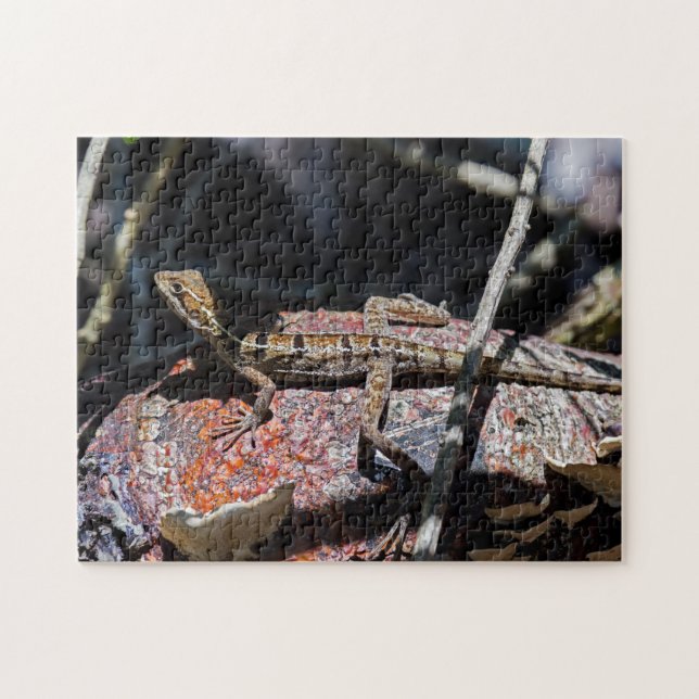 Quebra-cabeça Costa Rica, Punta Cahuita - Female basilisk Lizard (Horizontal)