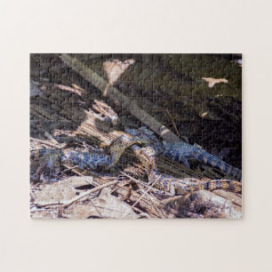 Quebra-cabeça Costa Rica, Tortuguero - Crocodilos-bebê