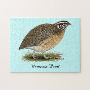 Quebra-cabeça Coturnix Pharaoh Quail