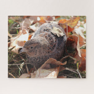 Quebra-cabeça Coturnix Quail nas folhas