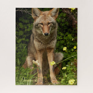 Quebra-cabeça Coyote