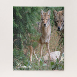 Quebra-cabeça Coyote