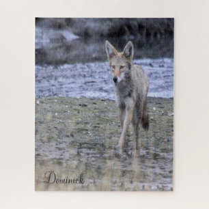 Quebra-cabeça Coyote