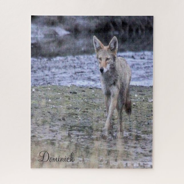 Quebra-cabeça Coyote (Vertical)