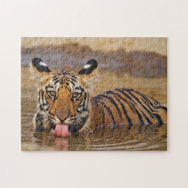 Quebra-cabeça Cozinha de Bengala Real Tiger, água bebendo (Horizontal)