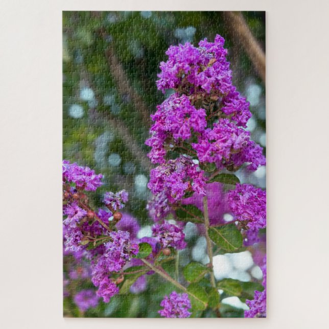 Quebra-cabeça Crape Myrtle Roxo, Livermore (Vertical)