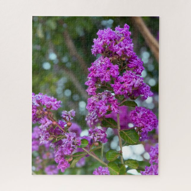 Quebra-cabeça Crape Myrtle Roxo, Livermore (Vertical)